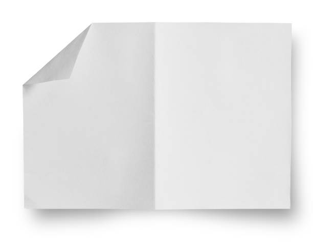istock Torn pieces of paper 652949220
