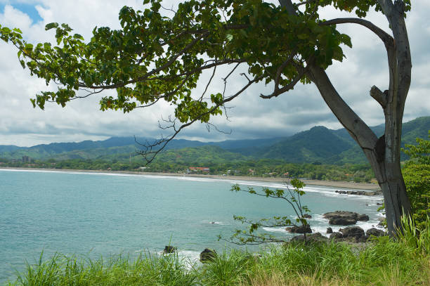 istock View to the seaside with the black volcanic lava beach. 652953948