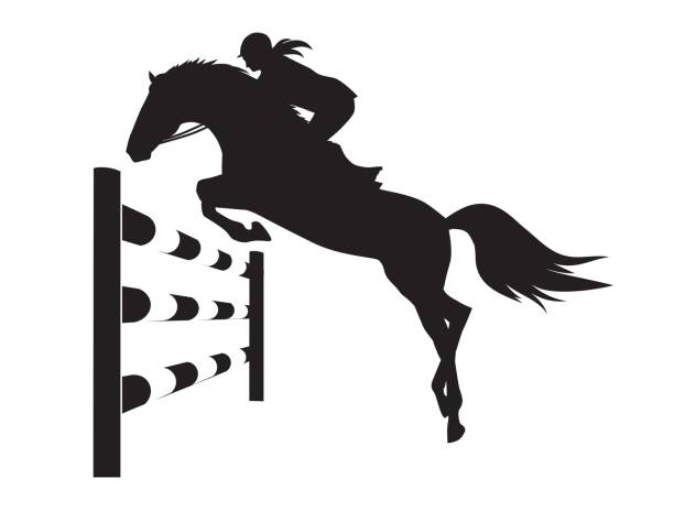 ilustrações, clipart, desenhos animados e ícones de concurso equestre - ilustração vetorial de cavalo - hurdling hurdle vector silhouette