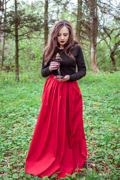 sorcière dans la forêt avec une bougie - 11827 photos et images de collection