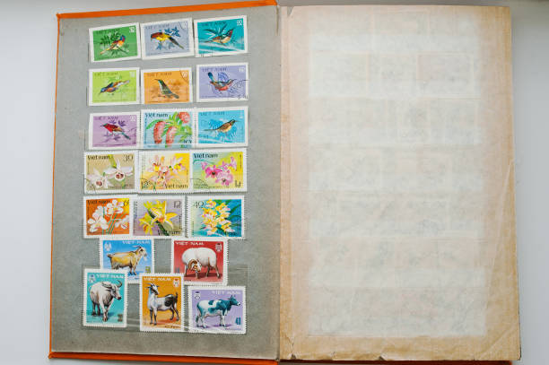 Cropped photo of hand taking alphabet stamp out of open wooden box on table