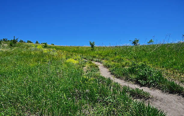 istock Scenic View Of Grassy Field Against Clear Sky 652963211