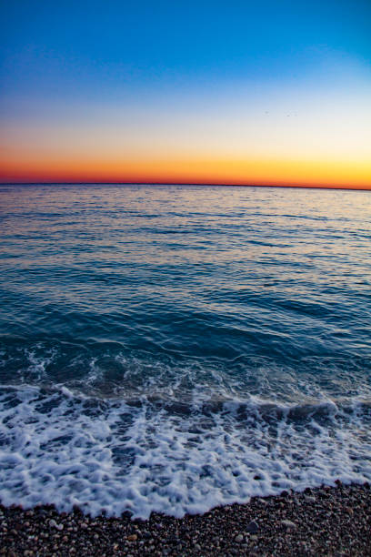 France, Nice - France, French Riviera, Tropical Climate, Europe