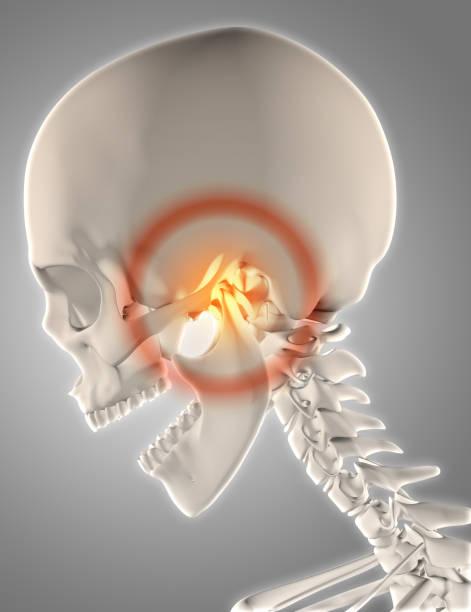 3D skeleton with jawbone highlighted 3D render of a skeleton with jawbone highlighted to show pain jaw pain stock pictures, royalty-free photos & images