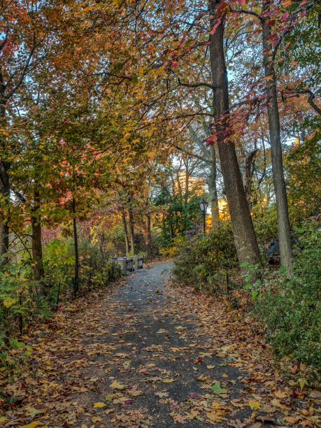 istock Central Park, New York City 652993050
