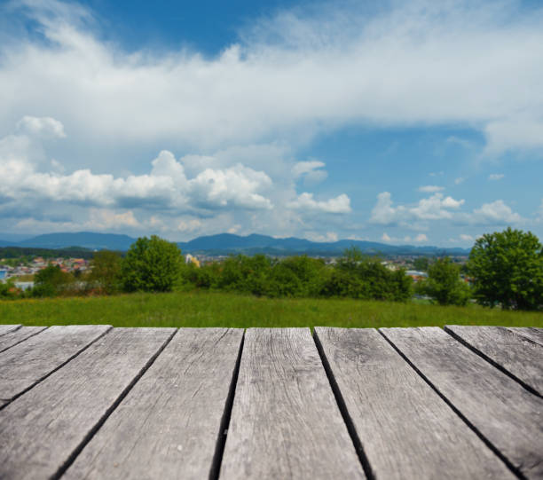 View from wooden platform on a green valley in spring