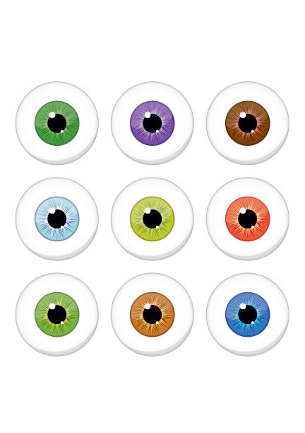ilustraciones, imágenes clip art, dibujos animados e iconos de stock de los ojos humanos establecer aisladas sobre fondo blanco. alumnos de iris de ojos colorido - color de ojos