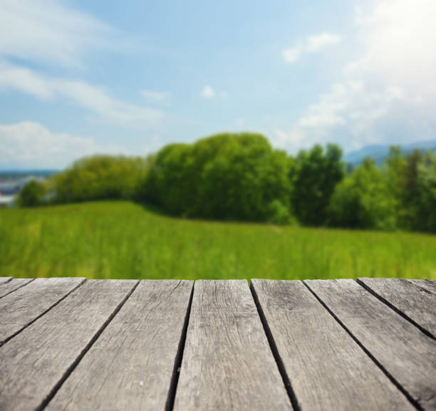 istock Wooden platform with green field 653003434