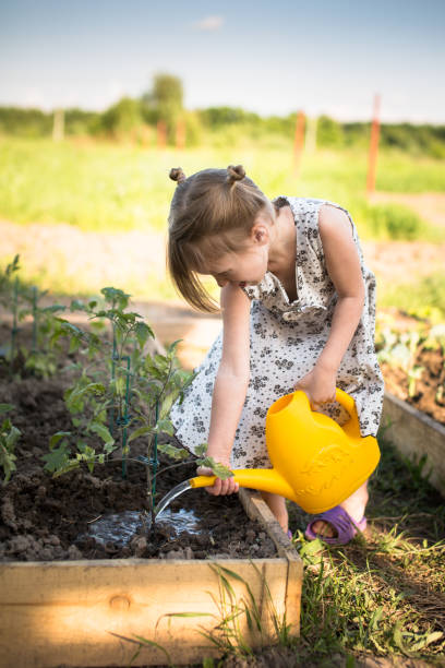 istock Kid  watering seedlings kitchen garden 653018762