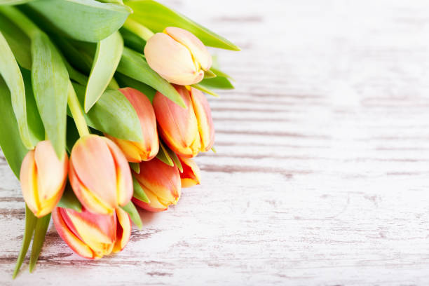 tulips on wooden background, top view with copy space