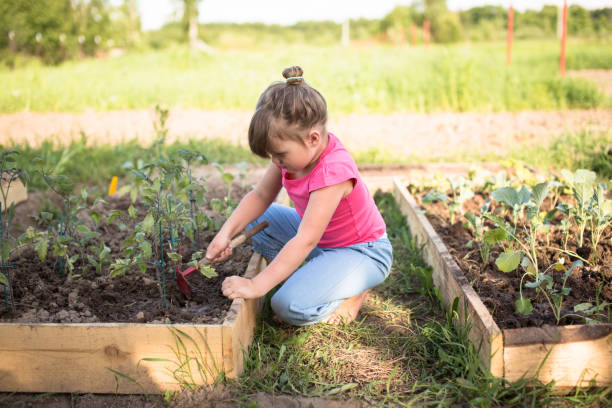 istock Kid cares for vegetables on garden 653019014