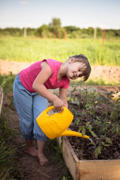 istock Kid watering seedlings little garden 653019024