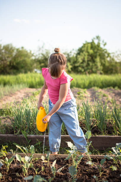 istock Kid watering the seedlings on the garden 653019078