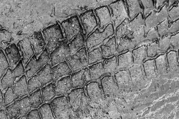 istock Tire tracks on a wet muddy road 653022282