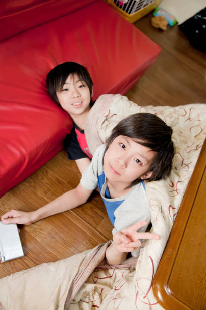 istock 2 Japanese kotatsu in brothers 653022712