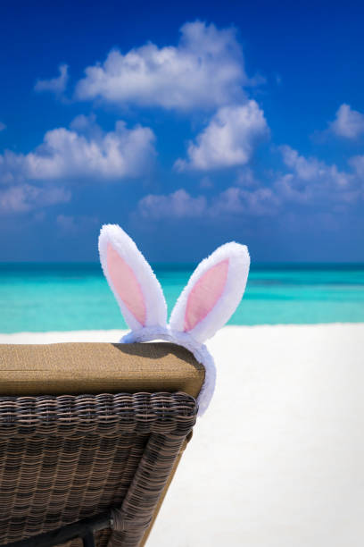 istock Bunny ears on sun chair at tropical beach 653023266
