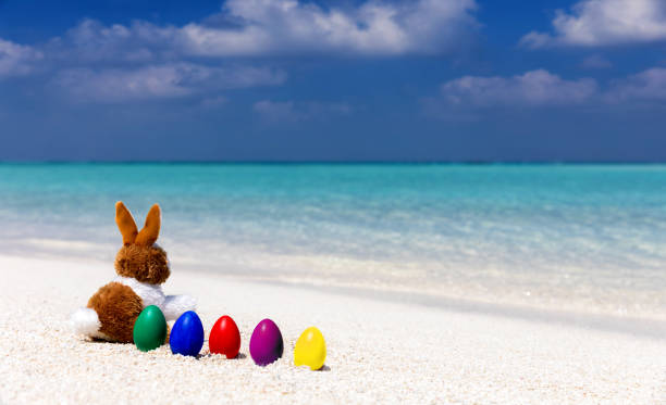 istock Easter bunny with colorful easter eggs in a row on a beach 653023578