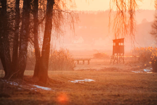Beautiful orange sunset by the willow tree at the meadow in Oderbruch / Brandenburg / Germany