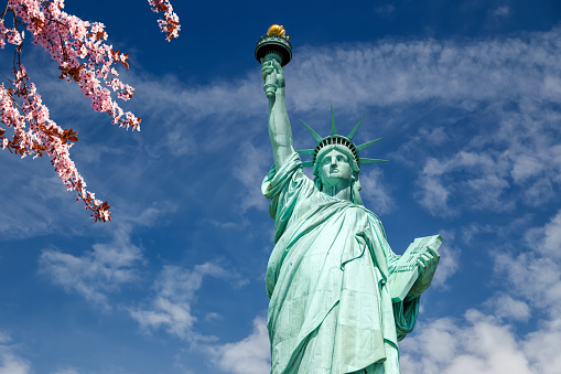 Statue of Liberty with blooming cherry on foreground, New York