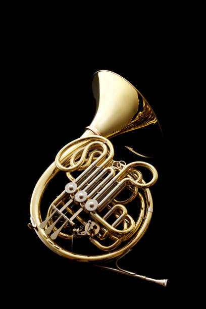 French Horn French Horn brass horn stock pictures, royalty-free photos & images