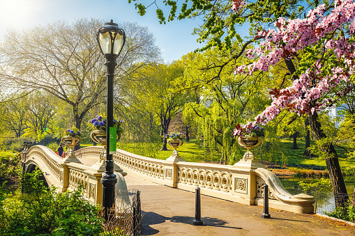 Bow bridge in Central park at spring sunny day, New York City