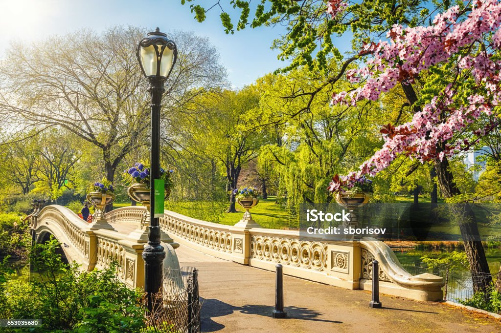Central park at spring, New York Bow bridge in Central park at spring sunny day, New York City Central Park - Manhattan Stock Photo