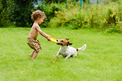 Child and dog having fun at back yard
