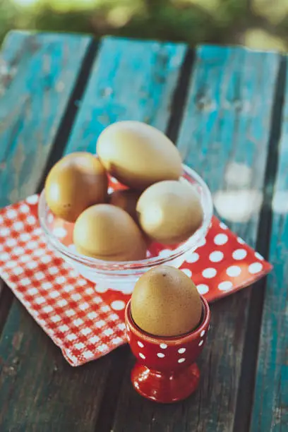 Healthy food- Breakfast with boiled eggs on wood.