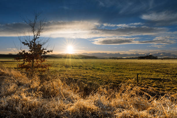istock Spring meadow under the majestic heaven. 653055406