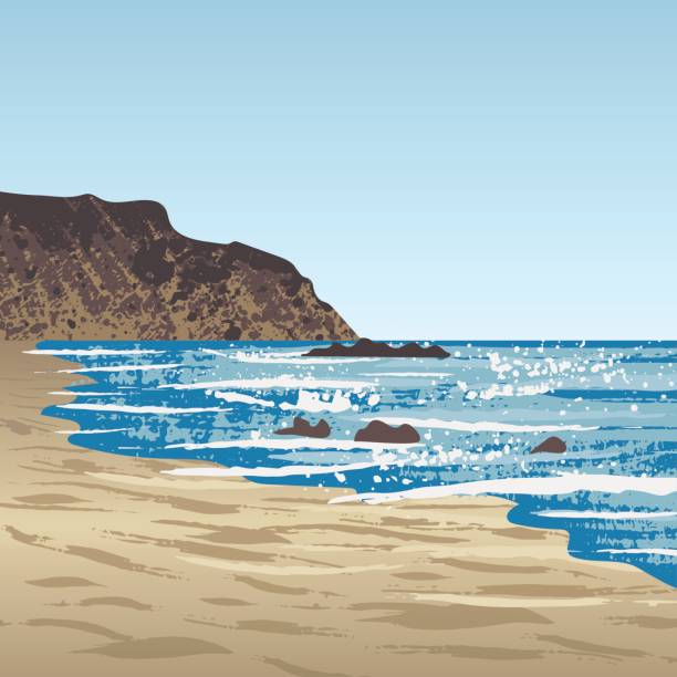 ilustraciones, imágenes clip art, dibujos animados e iconos de stock de costa del océano con la roca - california coastline beach cliff