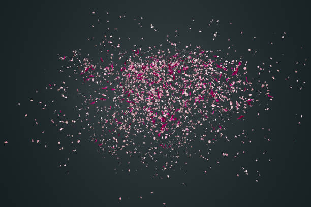 istock Pink flower petals failing down 653062010