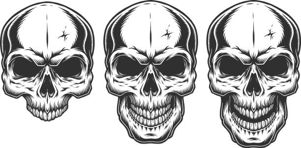 두개골의 흑백 그림 - sketch skull people anatomy stock illustrations