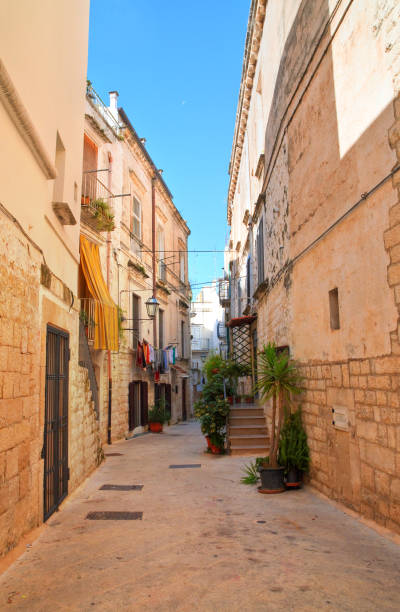 istock Alleyway. Rutigliano. Puglia. Italy. 653068454
