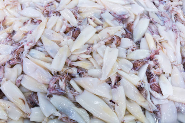 istock Fresh squid for sale on the market. 653068688