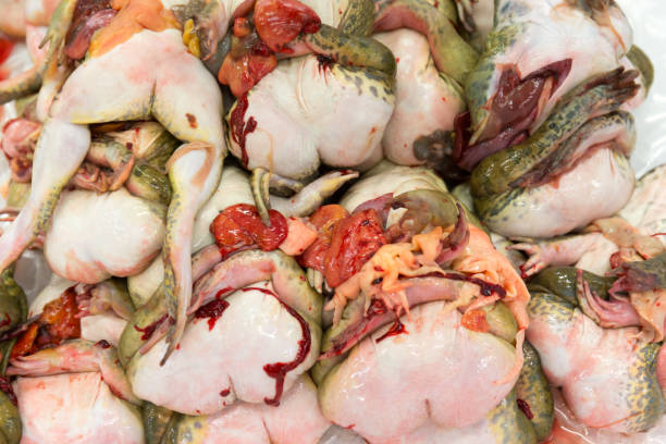 istock Raw frog placed on the market 653068794