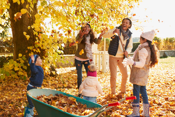 children helping parents to collect autumn leaves in garden - family african ethnicity black african descent imagens e fotografias de stock