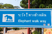 elephant-walk-weg.jpg?b=1&s=170x170&k=20&c=G3z2CVHzUEX9_IPR5_01-oz6wT5Fb2gzqg9amN2SA9U=