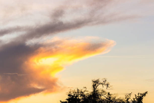 istock silhouette shot image of mountain and sunset sky in background. 653090660