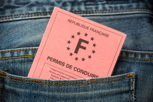 French driving license in the rear pocket of blue jeans, driving licence test concept French driving license in the rear pocket of blue jeans, driving licence test concept driver's license stock pictures, royalty-free photos & images