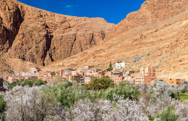 istock Oasis of the Todra River at Tinghir, Morocco 653101836