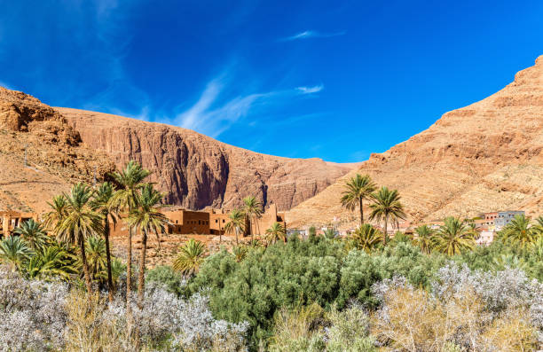 istock Oasis of the Todra River at Tinghir, Morocco 653102310