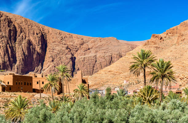 istock Oasis of the Todra River at Tinghir, Morocco 653102436