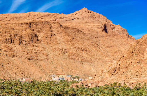istock Oasis of the Todra River at Tinghir, Morocco 653102710