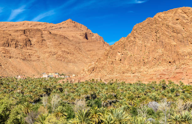 istock Oasis of the Todra River at Tinghir, Morocco 653104610