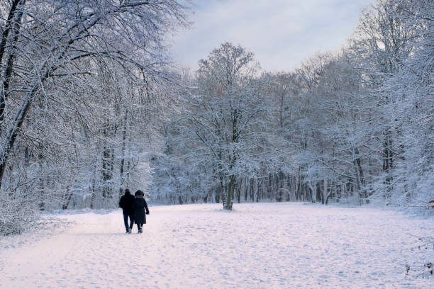 istock A couple walking in park in winter. 653104912