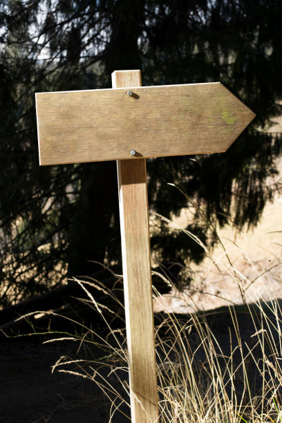 istock Blank wooden sign in the woods. 653105338