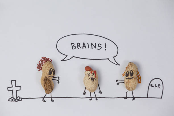 Two zombie  figurines getting tempted towards the brain of  broken head figurine