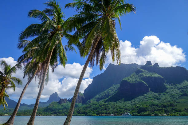 istock Cook’s Bay and lagoon in Moorea Island 653113520