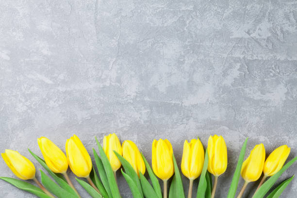 istock Easter card stone background with yellow tulips 653123858