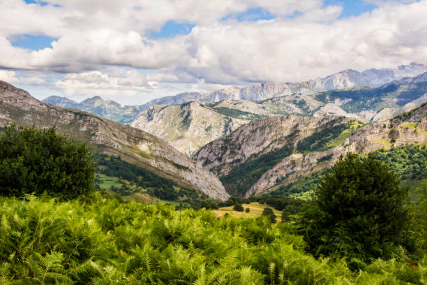 istock Mountain Landscape in Asturias 653128100